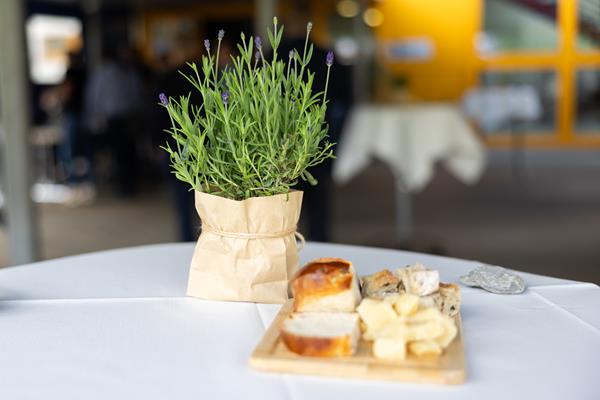 X NSV Schneenacht 2024 1 Apero 001